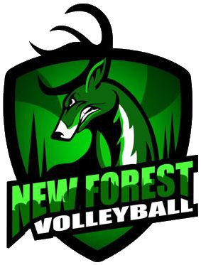 New Forest Volleyball